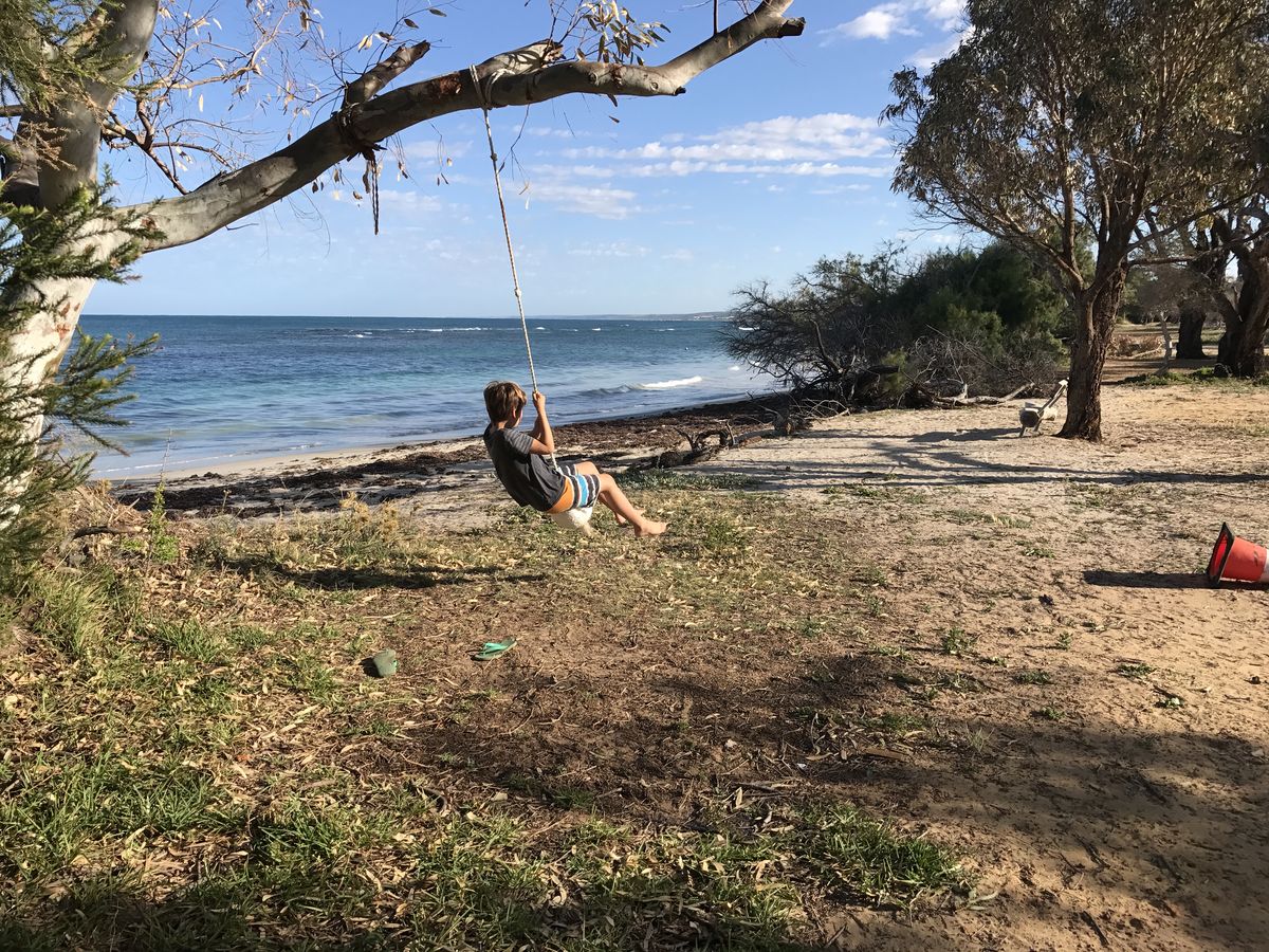 Drummond Cove foreshore with fallen trees along the dune edge