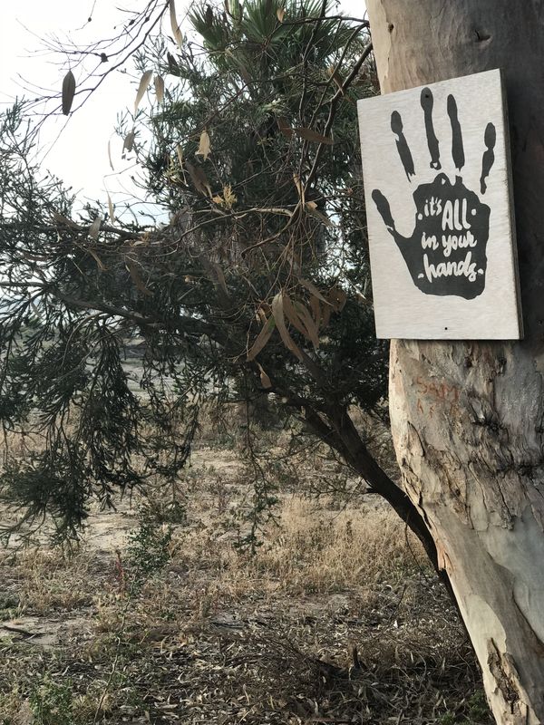It's all in your hands sign on a foreshore tree