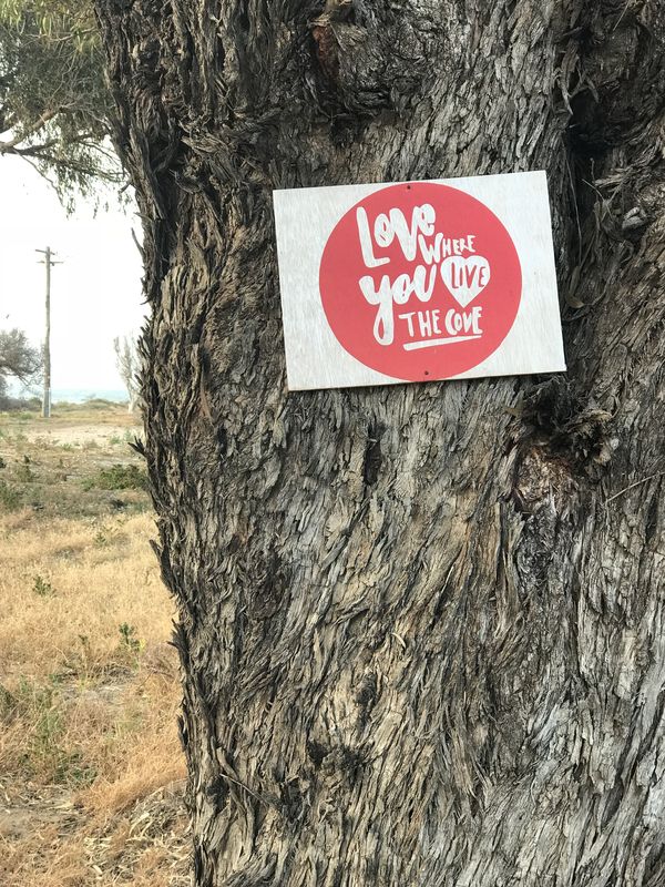 Love where you live, The Cove sign on a foreshore tree