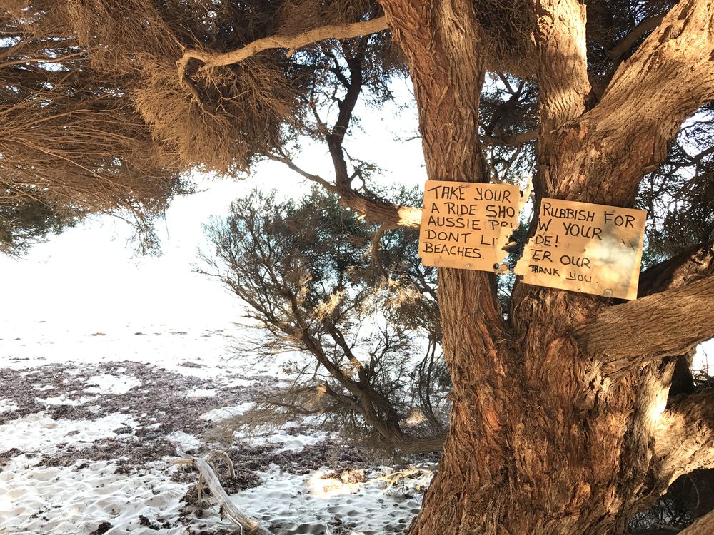 Hand-painted sign asking beachgoers to take their rubbish home